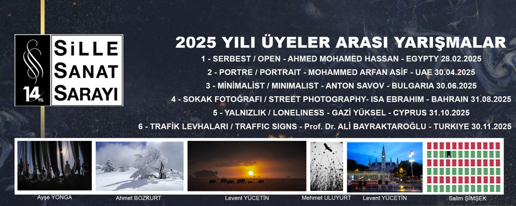 2025 SİLLE SANAT SARAYI ÜYELER ARASI YARIŞMA - 6 / TRAFİK LEVHALARI
